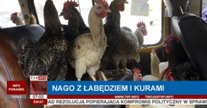 Jechał nago wioząc skradzionego łabędzia i kury. Zatrzymała go policja